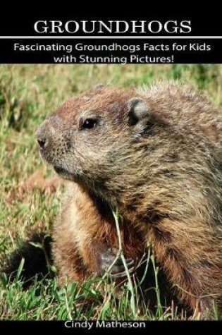 Cover of Groundhogs