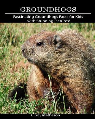 Book cover for Groundhogs