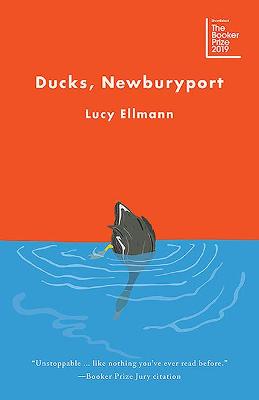 Book cover for Ducks, Newburyport