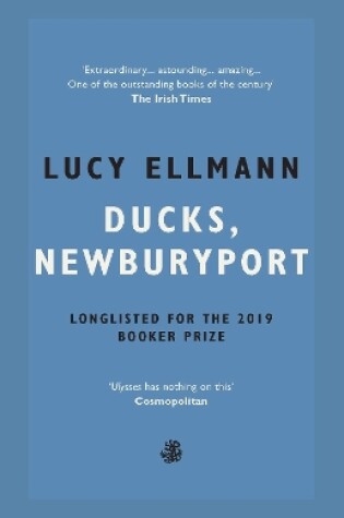 Cover of Ducks, Newburyport