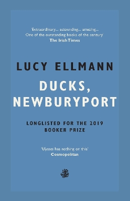 Book cover for Ducks, Newburyport