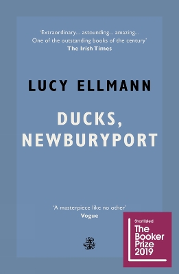 Book cover for Ducks, Newburyport