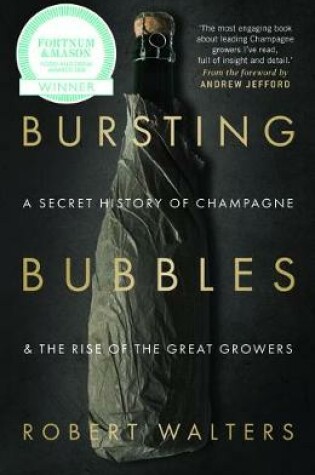 Cover of Bursting Bubbles