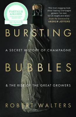 Book cover for Bursting Bubbles