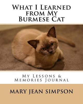 Book cover for What I Learned from My Burmese Cat