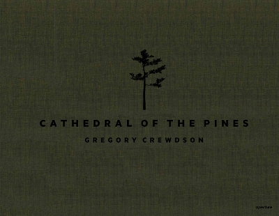 Book cover for Cathedral of the Pines