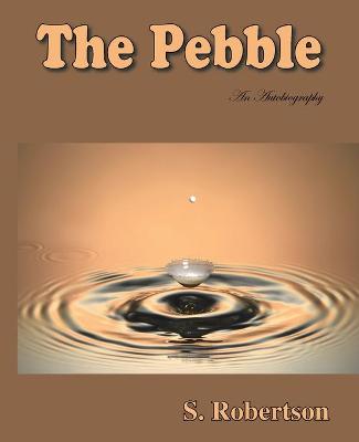 Book cover for The Pebble