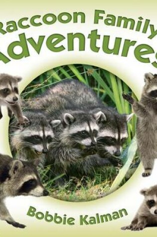 Cover of Raccoon Family Adventures
