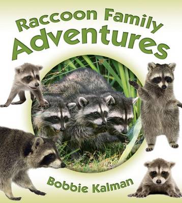 Book cover for Raccoon Family Adventures