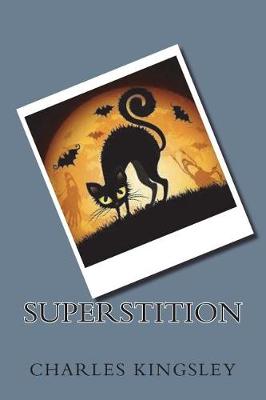 Book cover for Superstition