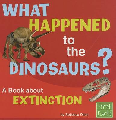 Book cover for What Happened to the Dinosaurs?