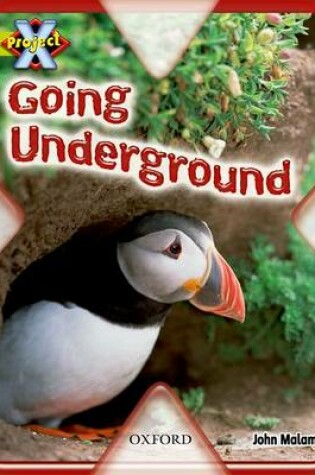 Cover of Project X: Underground: Going Underground
