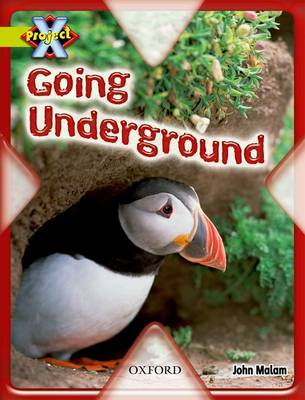Book cover for Project X: Underground: Going Underground
