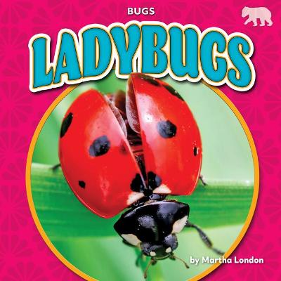 Book cover for Ladybugs