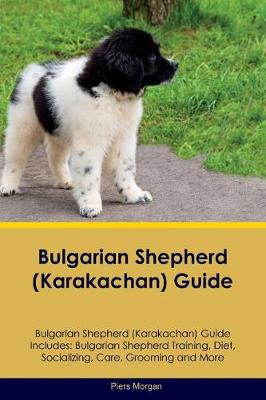 Book cover for Bulgarian Shepherd (Karakachan) Guide Bulgarian Shepherd Guide Includes