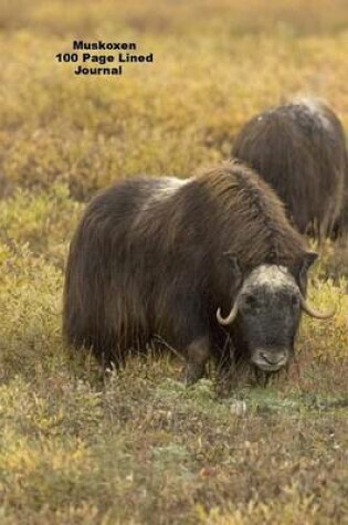 Cover of Muskoxen 100 Page Lined Journal