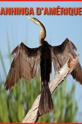 Cover of Anhinga d'Amérique