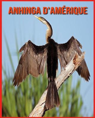 Book cover for Anhinga d'Amérique