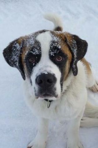 Cover of Cute Juvenile Saint St Bernard Dog Journal