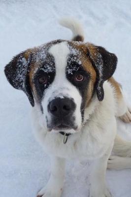 Book cover for Cute Juvenile Saint St Bernard Dog Journal