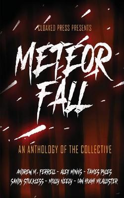 Book cover for Meteor Fall