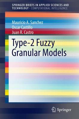 Book cover for Type-2 Fuzzy Granular Models