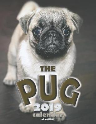 Book cover for The Pug 2019 Calendar (UK Edition)