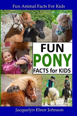 Book cover for Fun Pony Facts for Kids