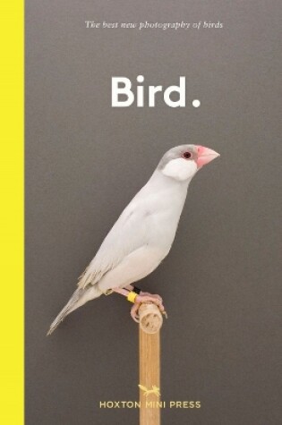 Cover of Bird.