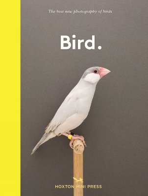 Book cover for Bird.