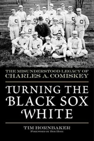 Cover of Turning the Black Sox White