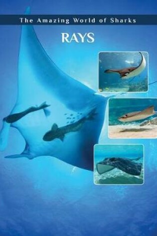 Cover of Rays