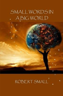 Book cover for Small Words in A Big World