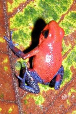 Book cover for Strawberry Poison Dart Frog Journal