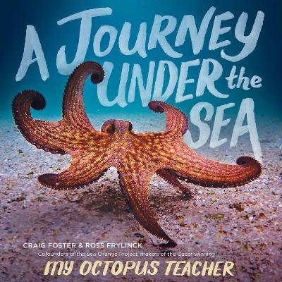 Book cover for A Journey Under the Sea