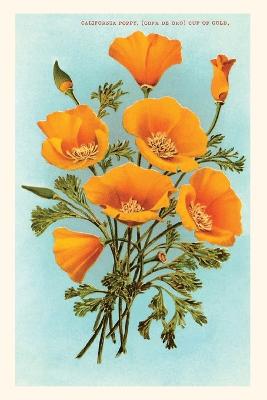 Book cover for The Vintage Journal California Poppies