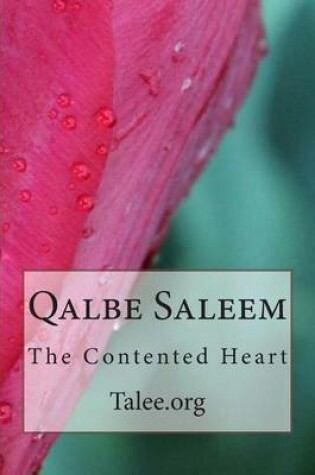 Cover of Qalbe Saleem