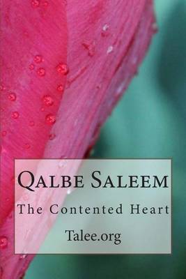 Book cover for Qalbe Saleem