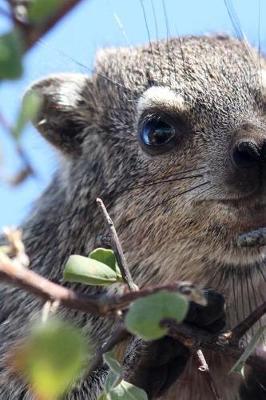 Book cover for Procavia Capensis Cape Hyrax in a Tree Journal
