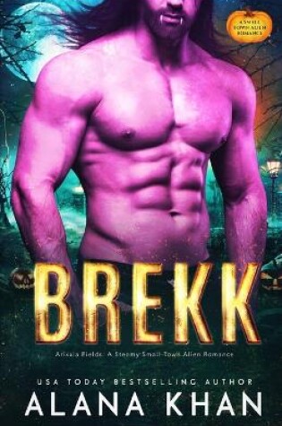 Cover of Brekk