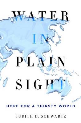Book cover for Water in Plain Sight