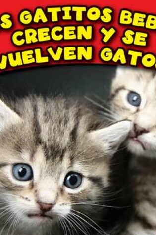 Cover of Los Gatitos Bebes Crecen y Se Vuelven Gatos