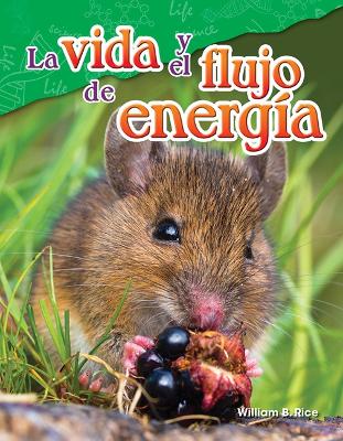 Book cover for La vida y el flujo de energía