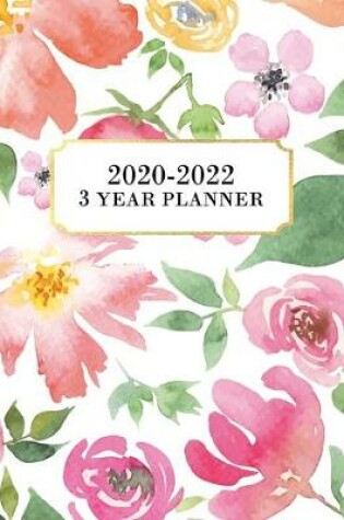 Cover of 3 Year Planner