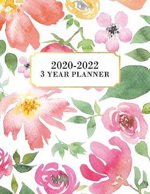 Cover of 3 Year Planner