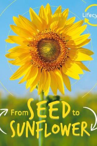 Cover of Lifecycles: Seed to Sunflower