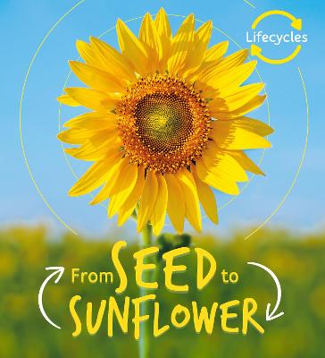 Book cover for Lifecycles: Seed to Sunflower