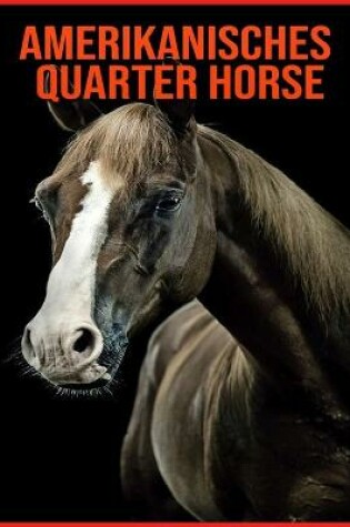 Cover of Amerikanisches Quarter Horse