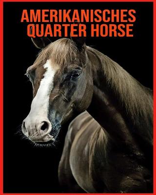 Book cover for Amerikanisches Quarter Horse