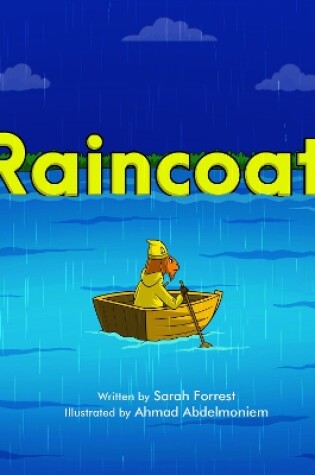 Cover of Raincoat